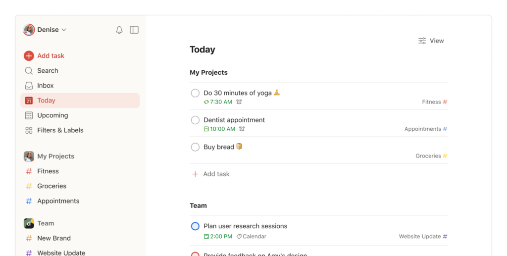 Notion vs todoist - todoist interface